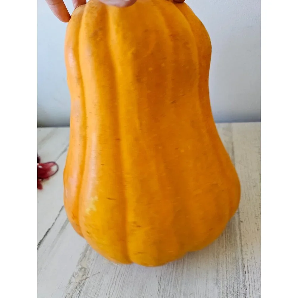 East West vintage gourd pumpkin curved light up as is Halloween fall decor large